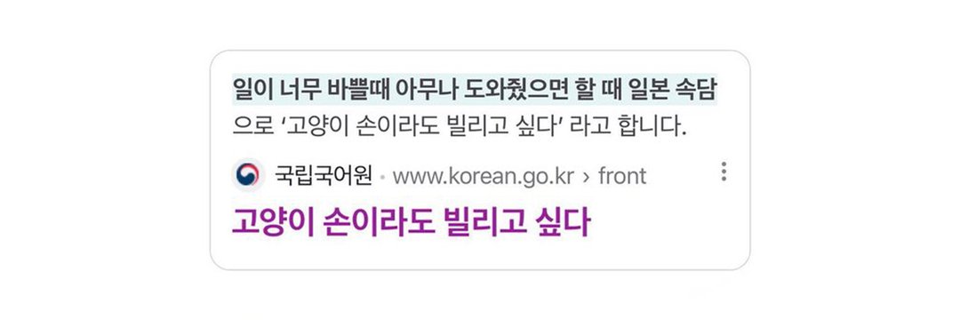 망고's banner