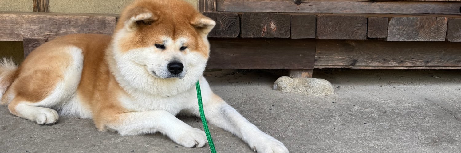 秋田犬てんすけ's banner