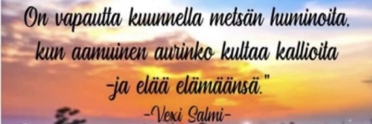 Nikke Vaan's banner