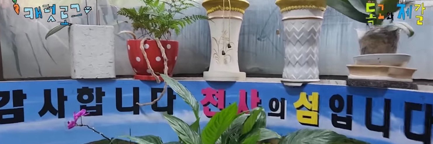 일사's banner