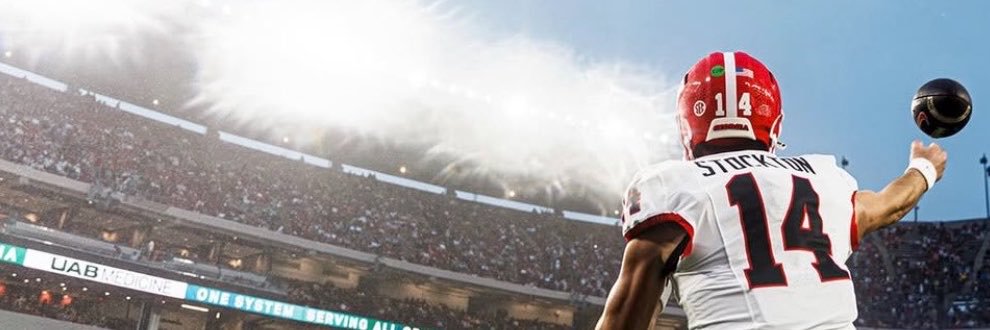 ℍ𝕒𝕞𝕚𝕝𝕥𝕠𝕟⚡️'s banner
