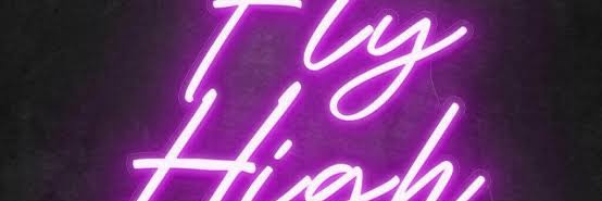 SouthSoloFlyer🚀's banner