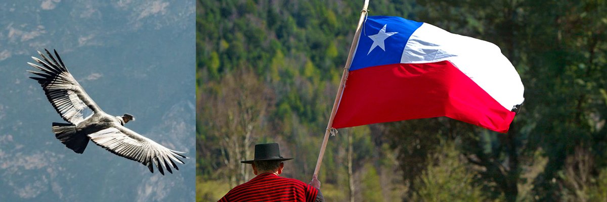 🇨🇱 El Chilenista's banner