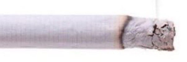twink toppler™️'s banner