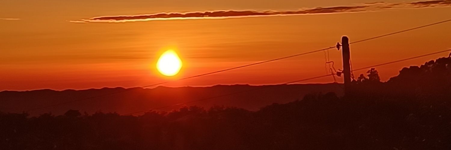 ~'s banner