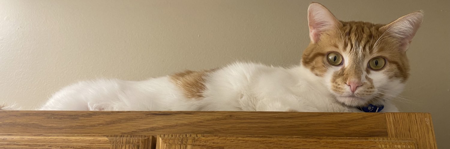 Pumpkin Sink Inspector's banner