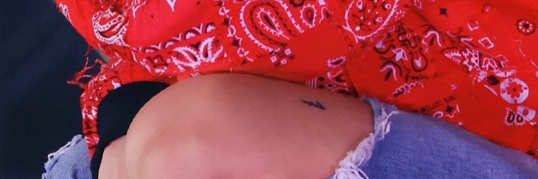 ˙⋆✮'s banner
