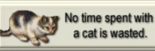 natalia's banner