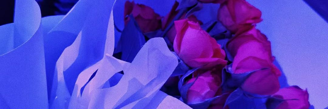 💜软甜糯米糍💜's banner