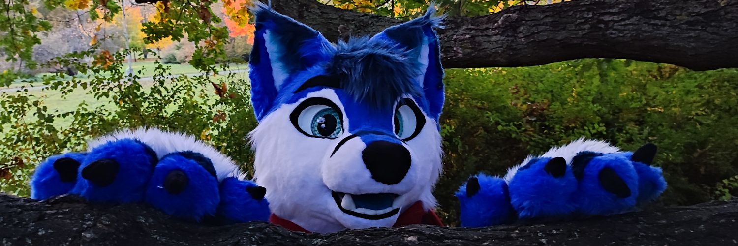 Chiko 🦊🐾's banner