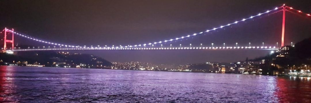 _Lila2_'s banner