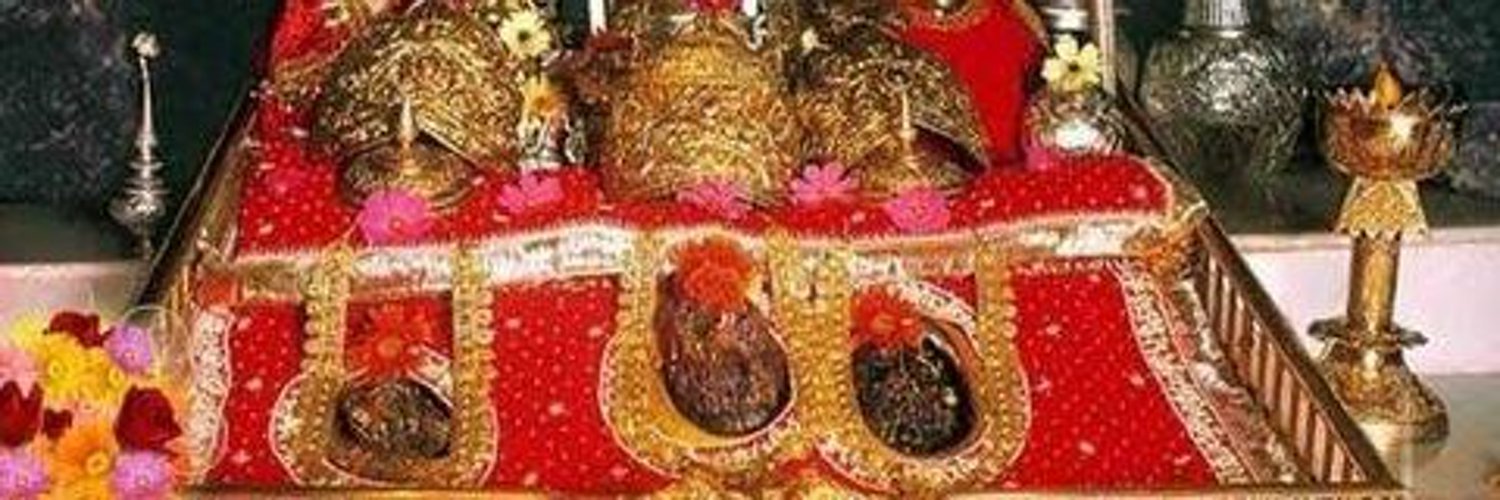 Dr Ananya Jamwal 🇮🇳's banner
