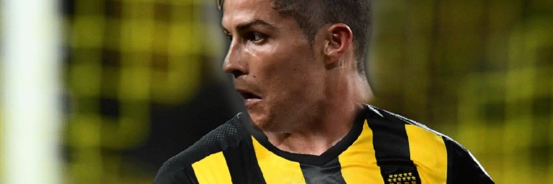 El bicho Manya's banner