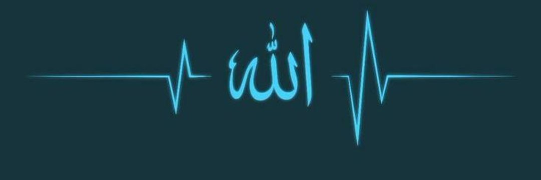 هاني الزيلعي's banner