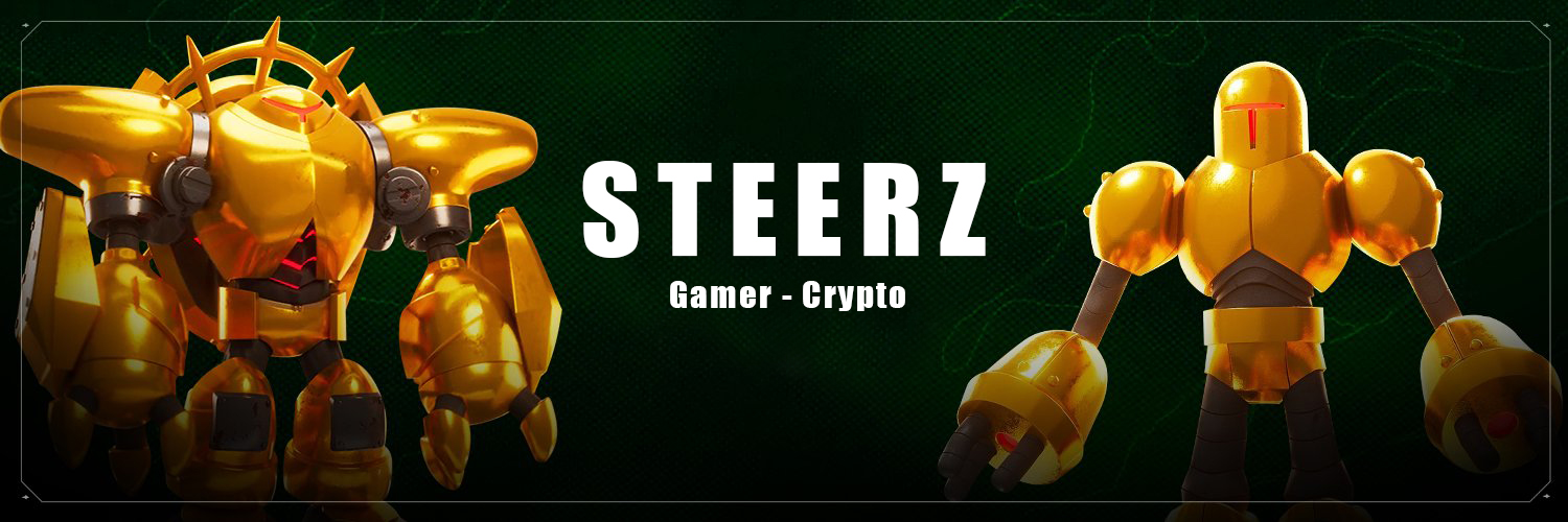 STEERZ's banner