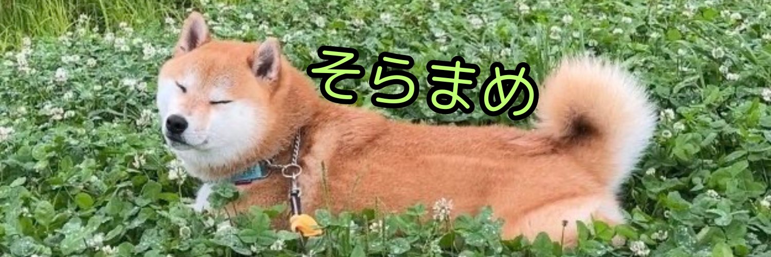 豆柴のそらまめ隊長's banner