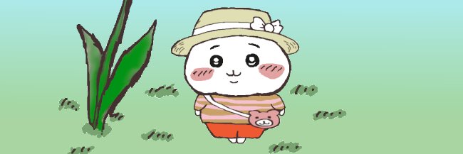 桃ブー's banner