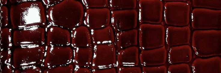 cersei 🐊's banner