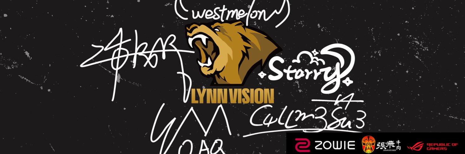 Lynn vision's banner