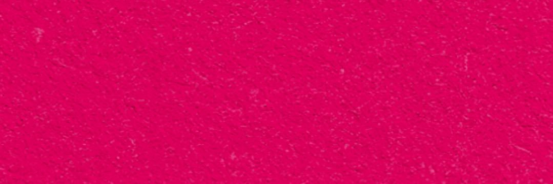 Fiorella Sargenti's banner