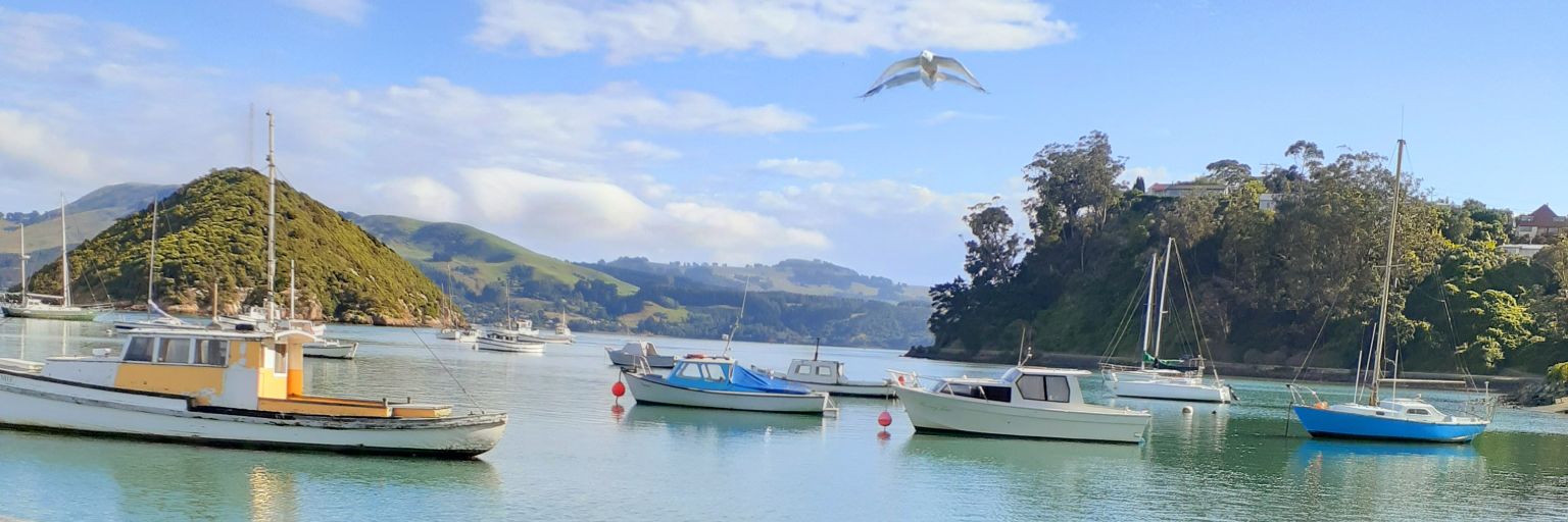 🕊️ 𝒁𝑬𝑰𝑵𝑨 🕊️'s banner