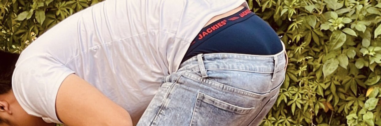Vid's banner