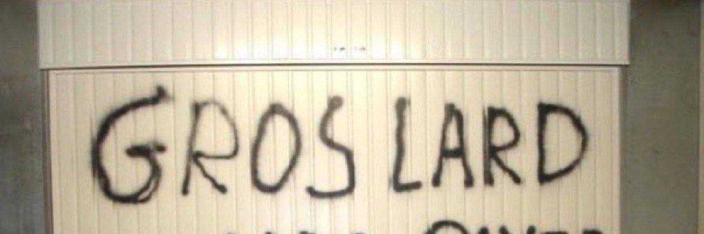 æ's banner