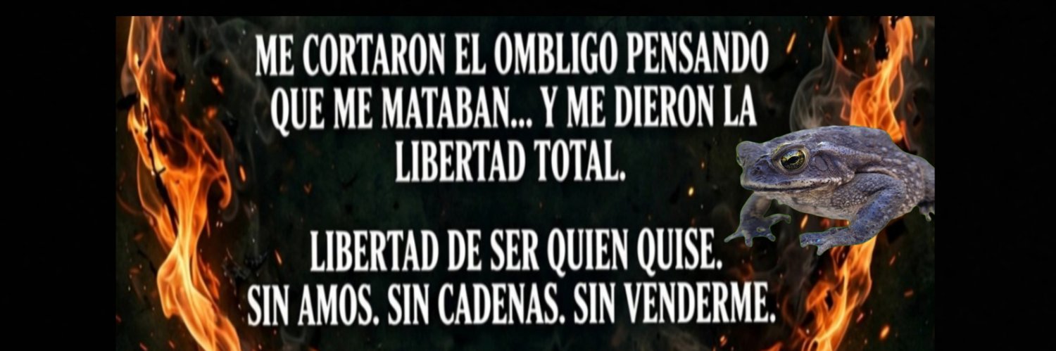 sapo venenoso's banner