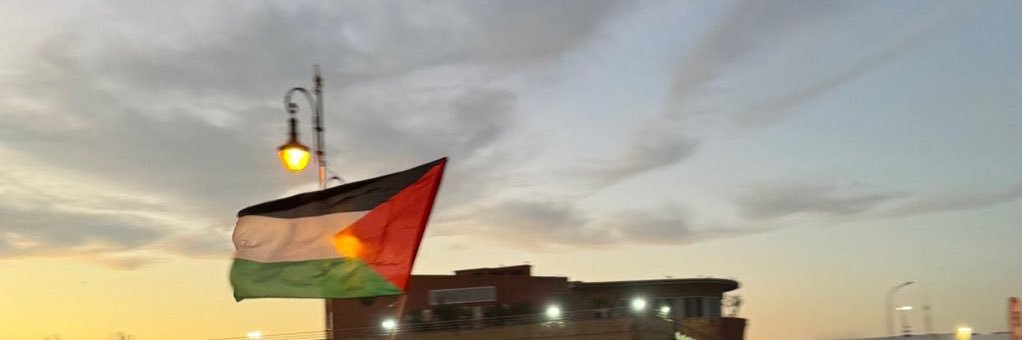 ᥫ᭡'s banner