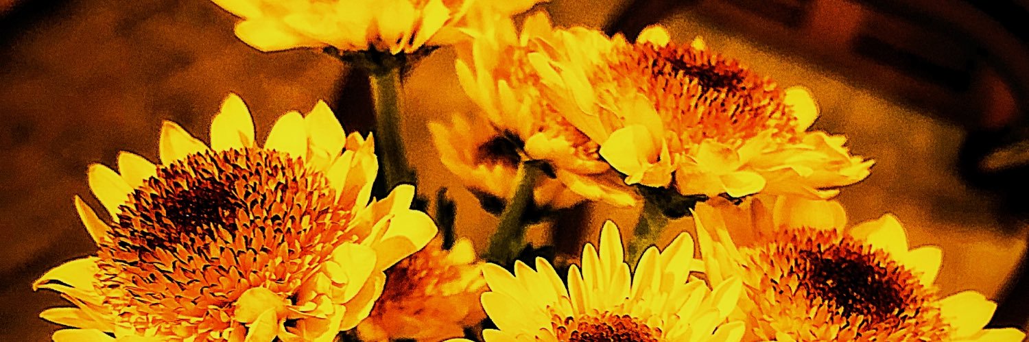 やどたんたん's banner