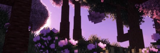 『♡』Duli🇦🇷☀️'s banner