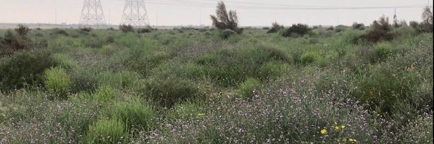 ناصر بداح الهاجري's banner