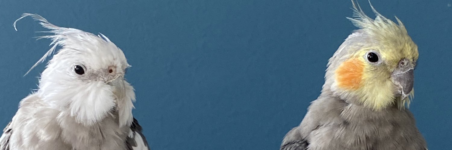 みーちゃん's banner