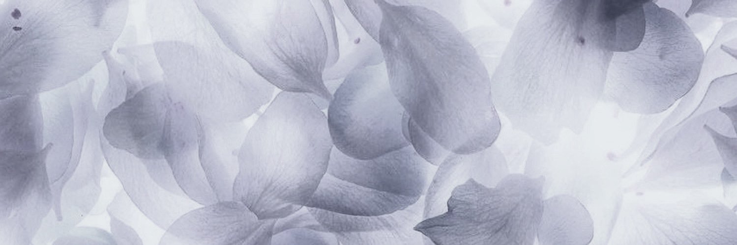 lenskey*'s banner
