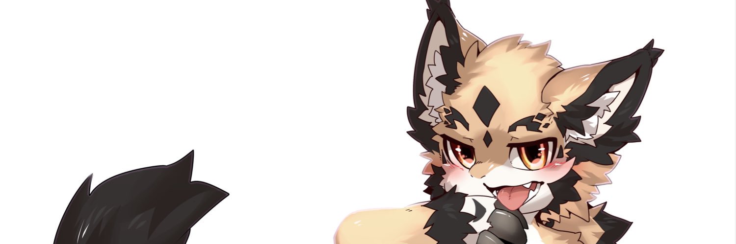 Rui银狼's banner