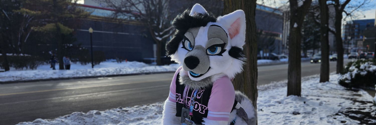 🐾❄Flake Wusky❄🐾's banner