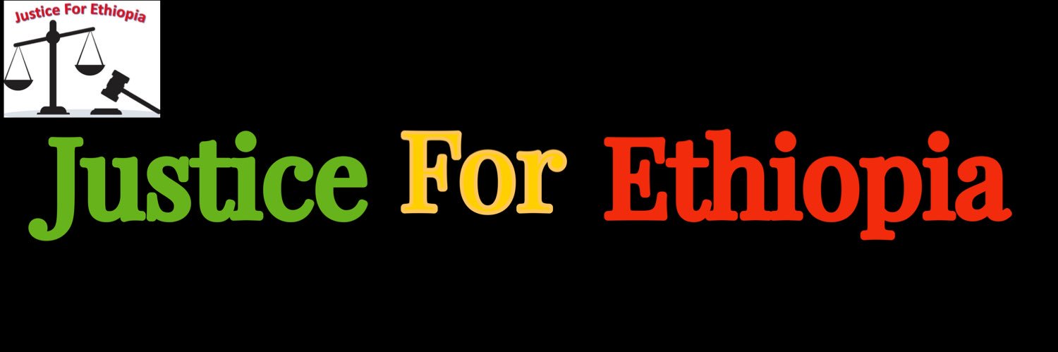 ዘ-ብሔረ ኢትዮጵያ ( Ethiopia First )'s banner