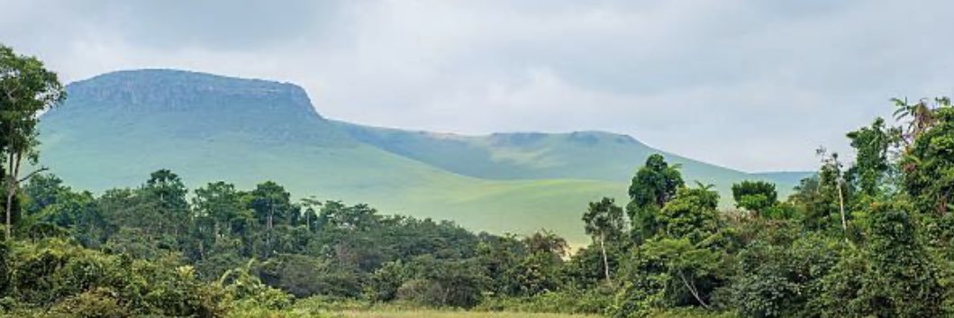 Amélie Mbk 🇨🇩's banner