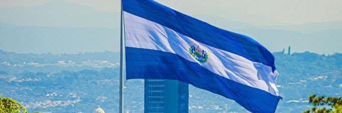 Don Roque 503- Perfil Personal's banner