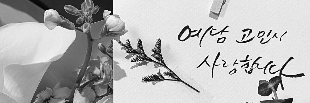 폼폼's banner
