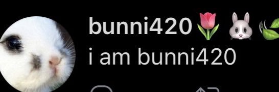 bunni420's banner