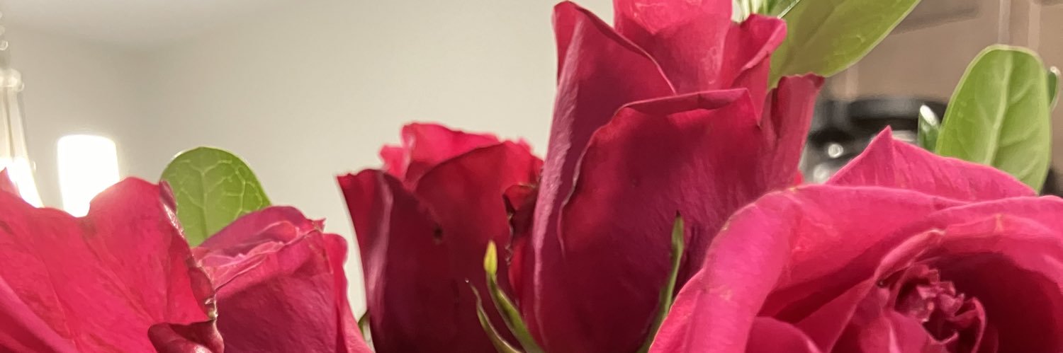 Tempesttdenise's banner