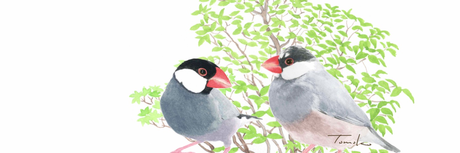 p-jet やべともこ's banner