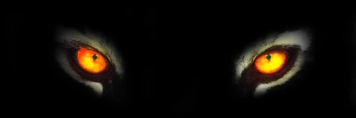 Buse&Burak's banner