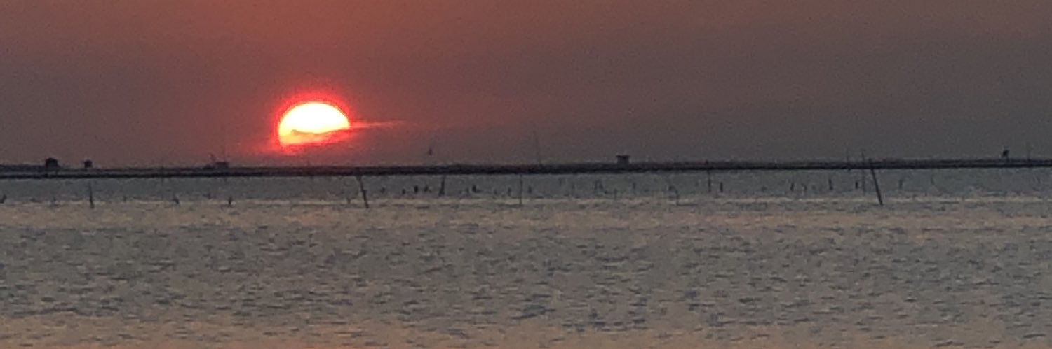orange🧚🏻's banner