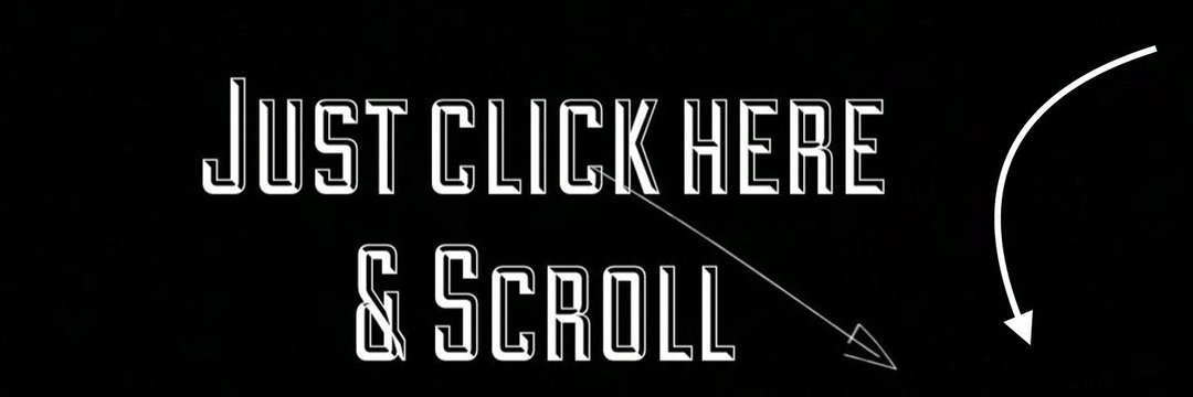 🐍's banner