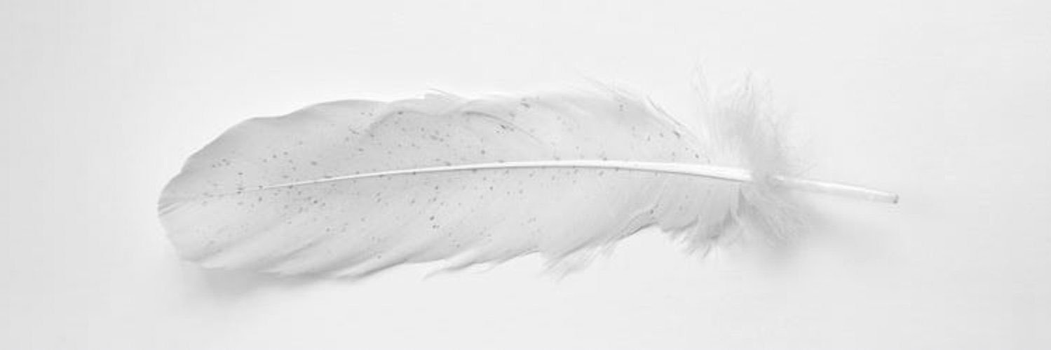 E C E's banner