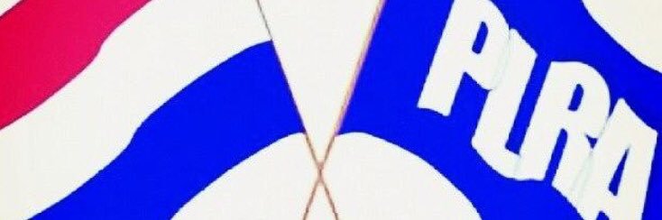 Virgilio Ferreira's banner