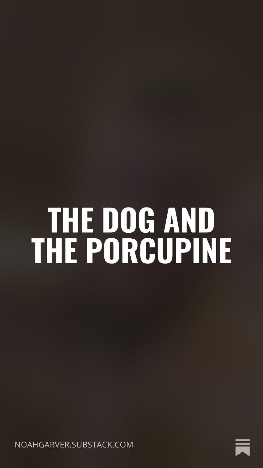 male therapist (student)'s banner