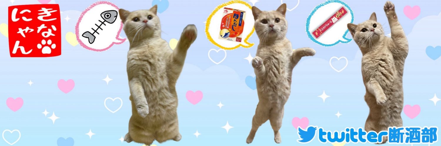 きなこ's banner